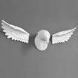 Load image into Gallery viewer, 3D Eagle Head Wall Statue Decorfaure