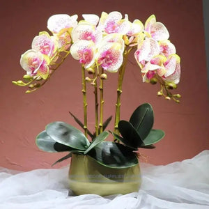 Flora Orchid Arrangement with Vase freeshipping - Decorfaure