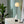Load image into Gallery viewer, Lunar freeshipping - Decorfaure
