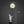 Load image into Gallery viewer, Lunar freeshipping - Decorfaure

