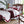 Load image into Gallery viewer, Mehak Egyptian Cotton Luxury White Duvet Set freeshipping - Decorfaure
