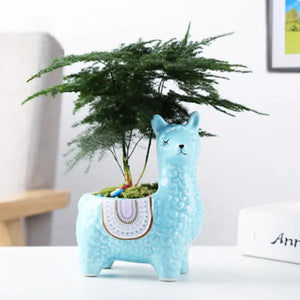 Miniature Cartoon Pots freeshipping - Decorfaure
