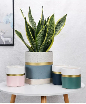 Modern Flower Pot with Gold Rim freeshipping - Decorfaure
