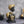 Load image into Gallery viewer, 45215459803349
