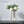 Load image into Gallery viewer, Scandinavian Minimalist Pot freeshipping - Decorfaure
