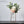 Load image into Gallery viewer, Scandinavian Minimalist Pot freeshipping - Decorfaure

