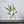 Load image into Gallery viewer, Scandinavian Minimalist Pot freeshipping - Decorfaure
