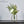 Load image into Gallery viewer, Scandinavian Minimalist Pot freeshipping - Decorfaure
