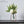 Load image into Gallery viewer, Scandinavian Minimalist Pot freeshipping - Decorfaure
