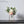 Load image into Gallery viewer, Scandinavian Minimalist Pot freeshipping - Decorfaure
