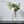 Load image into Gallery viewer, Scandinavian Minimalist Pot freeshipping - Decorfaure
