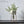 Load image into Gallery viewer, Scandinavian Minimalist Pot freeshipping - Decorfaure
