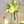 Load image into Gallery viewer, Scandinavian Minimalist Pot freeshipping - Decorfaure
