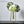 Load image into Gallery viewer, Scandinavian Minimalist Pot freeshipping - Decorfaure

