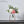 Load image into Gallery viewer, Scandinavian Minimalist Pot freeshipping - Decorfaure
