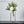 Load image into Gallery viewer, Scandinavian Minimalist Pot freeshipping - Decorfaure

