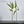 Load image into Gallery viewer, Scandinavian Minimalist Pot freeshipping - Decorfaure
