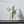 Load image into Gallery viewer, Scandinavian Minimalist Pot freeshipping - Decorfaure
