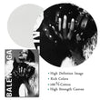 Load image into Gallery viewer, YSL Canvas Art Decorfaure
